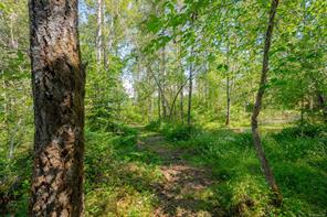 Property Image 69