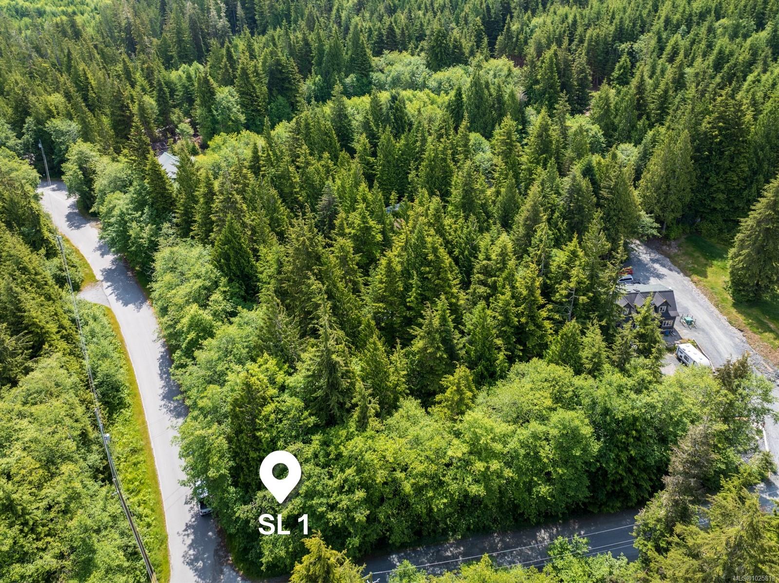 17205 Osprey Pl, Port Renfrew