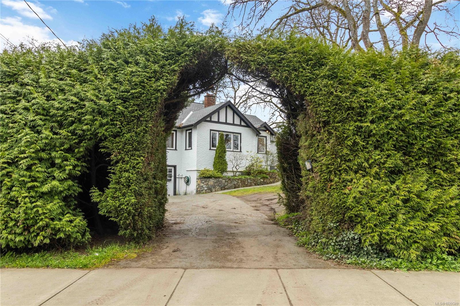 3438 Cook St, Saanich