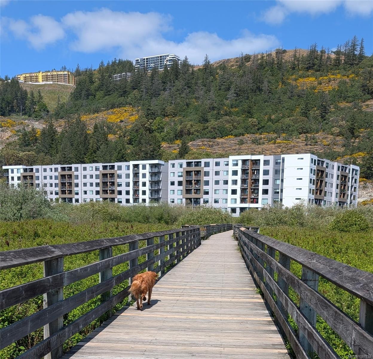 Unit 511, 1361 Goldstream Ave, Langford