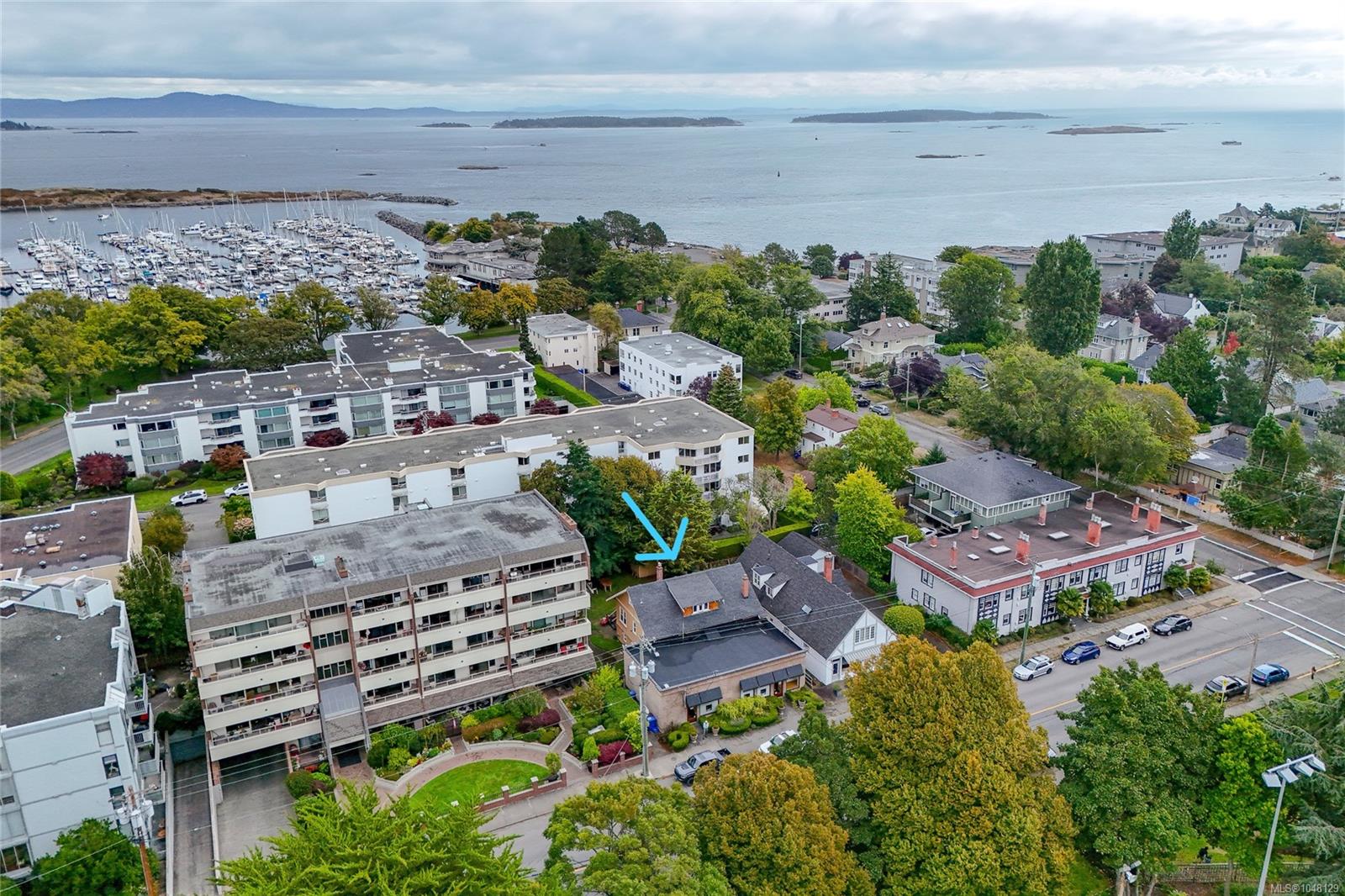 1161 Newport Ave, Oak Bay