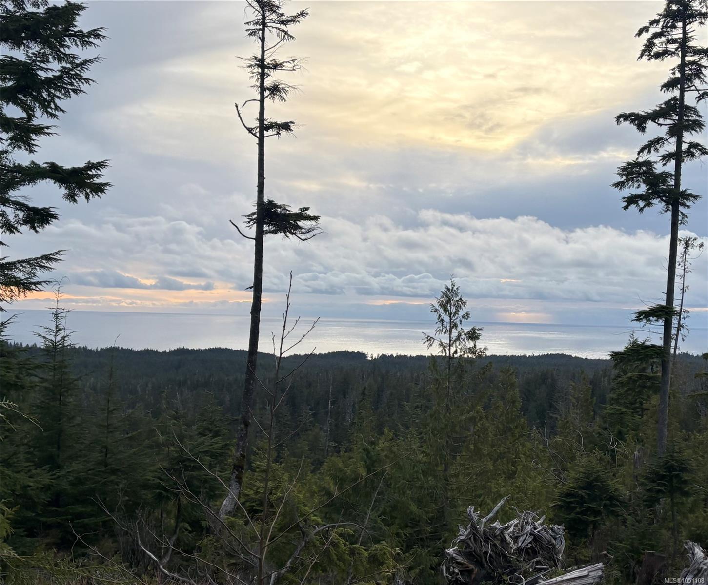 Michigan Main Rd, Bamfield